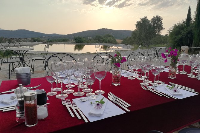 Food And Wine Pairing Dinner At Karnas Vineyards Bodrum Dinner And Wine Tasting Details