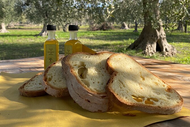 Food And Wine Tour Between The Patriarchs Olives And The Oil Temples Meeting Point And Start Time