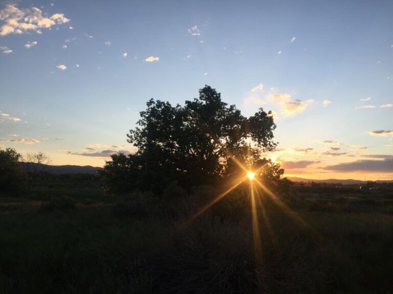 Fort Collins Early Settlement/town Beginnings (riding Tour) Tour Overview And Details