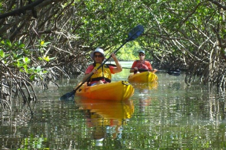 Fort Myers: Guided Kayak Or Sup Tour In Pelican Bay Tour Overview And Pricing