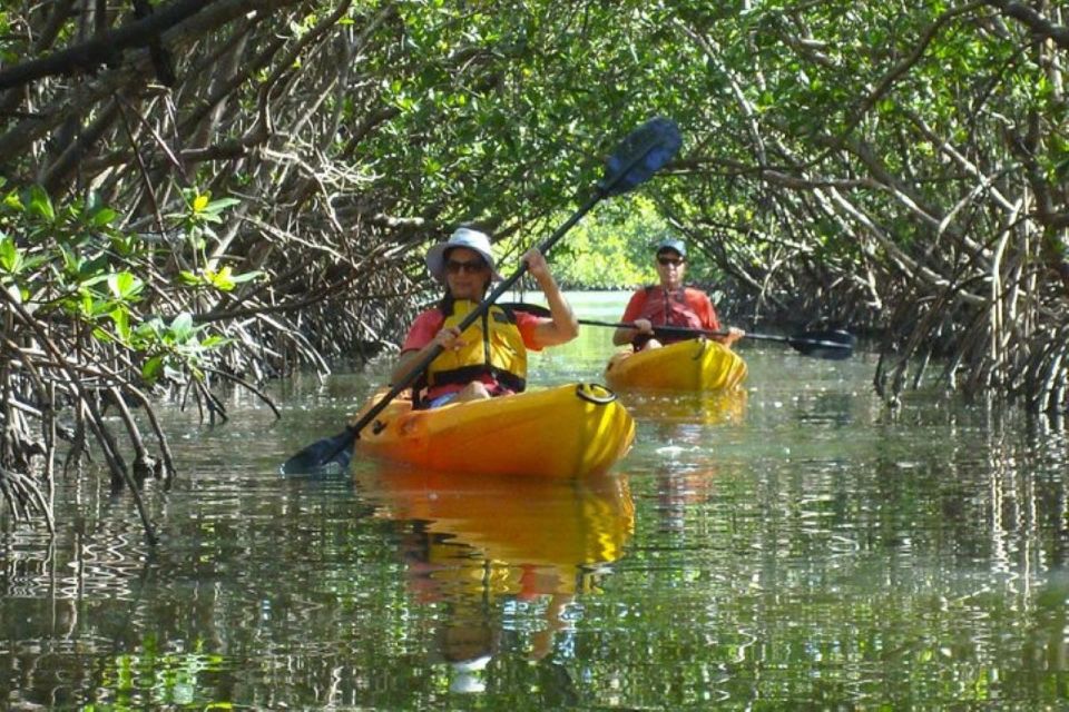 Fort Myers: Guided Kayak or SUP Tour in Pelican Bay - Tour Overview and Pricing