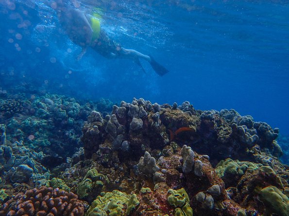 Four Winds Molokini Snorkeling Tour From Maalaea Harbor Overview Of The Tour