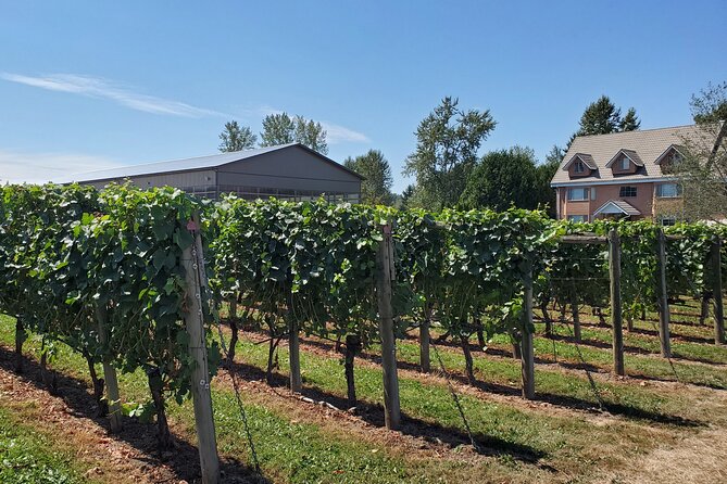 Fraser Valley Wine Tour With A Light Lunch From Vancouver Overview Of The Tour