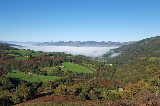 French Basque Countryside Tour From San Sebastian - Highlights of the Experience