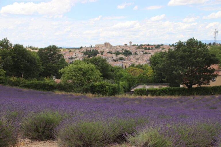 From Aix En Provence: Lavender Experience & Gorges Du Verdon Tour Overview