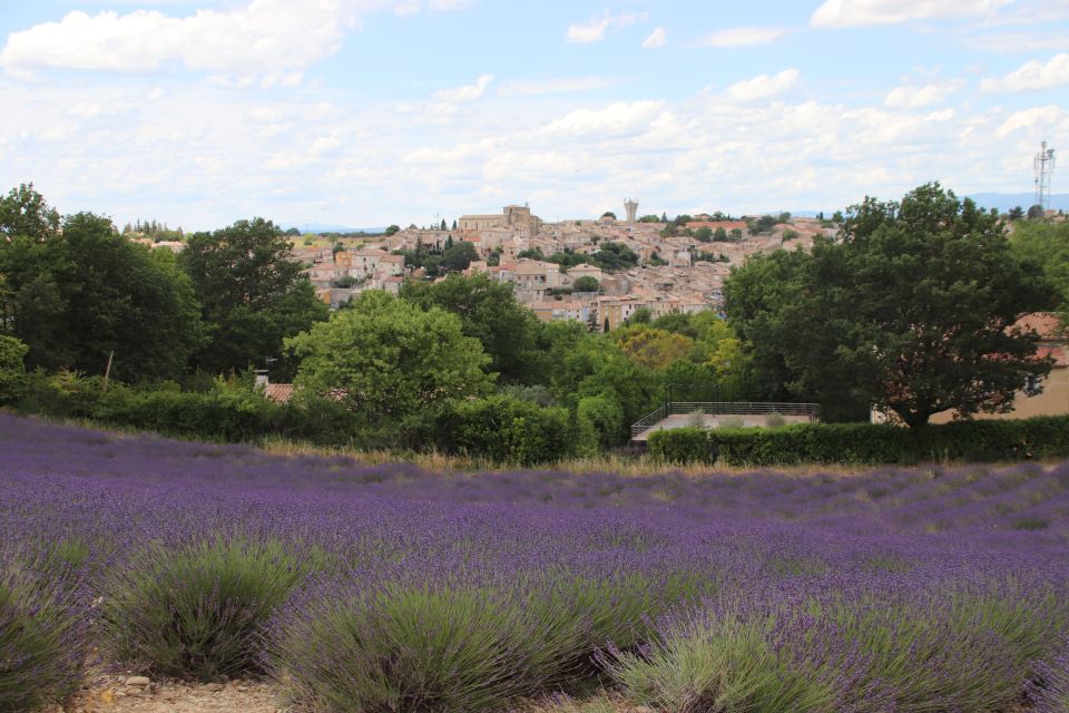 From Aix-En-Provence: Lavender Experience & Gorges Du Verdon - Tour Overview