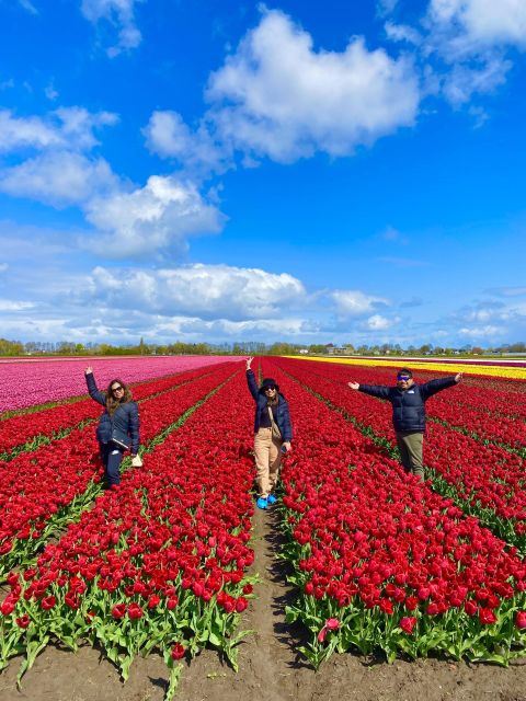 From Amsterdam: Tulip Fields & Windmill Day Trip With Lunch - Tour Overview and Pricing