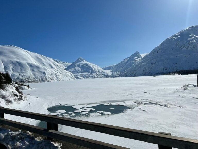 From Anchorage: Alaska Wildlife Center & Turnagain Arm Tour Tour Highlights