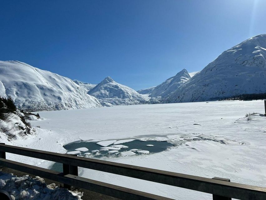 From Anchorage: Alaska Wildlife Center & Turnagain Arm Tour - Tour Highlights