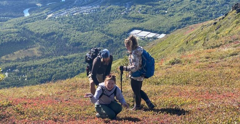 From Anchorage: Chugach State Park Guided Alpine Trek Overview Of The Trek