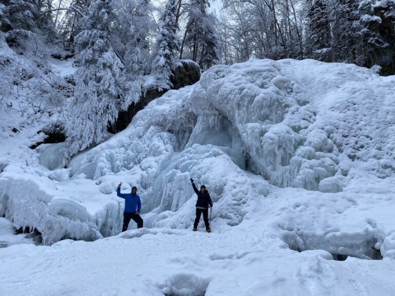 From Anchorage: Chugach State Park Winter Walking Tour Tour Overview