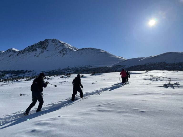 From Anchorage: Glen Alps Beginners Snowshoeing Adventure Activity Overview