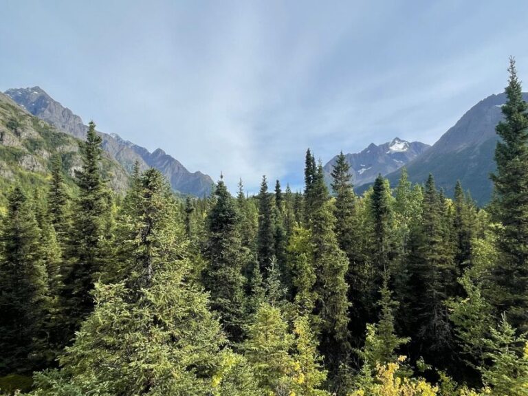 From Anchorage: Valley And Forest Hike With Naturalist Guide Overview Of The Hike