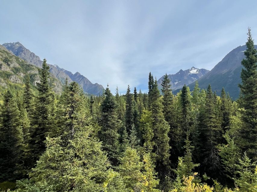 From Anchorage: Valley and Forest Hike With Naturalist Guide - Overview of the Hike