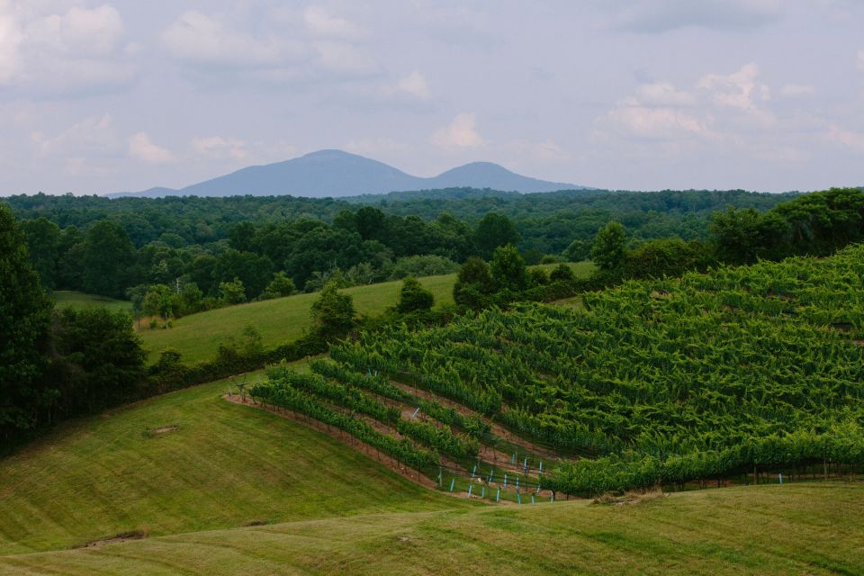 From Atlanta: Half-Day Wine Country Tour - Tour Overview