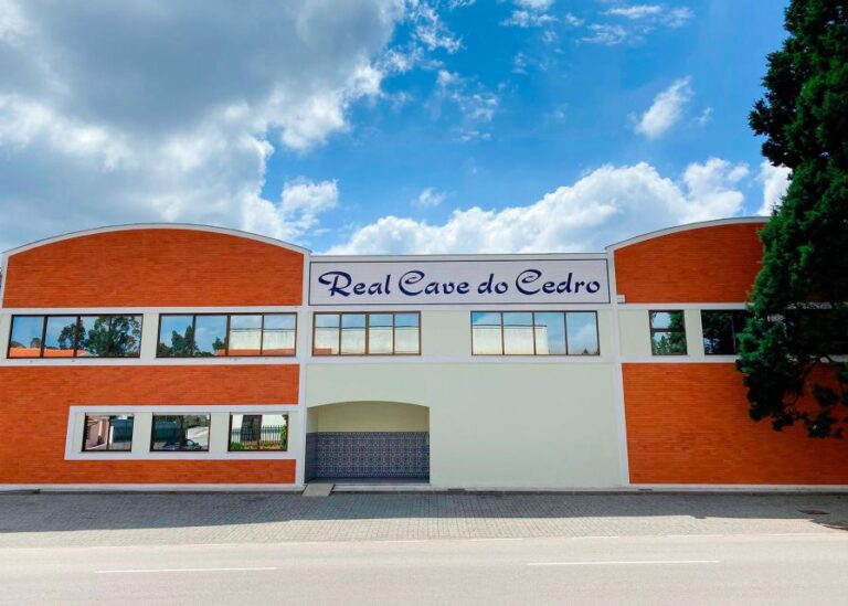 From Aveiro: Real Cave Do Cedro Guided Tour Tour Overview