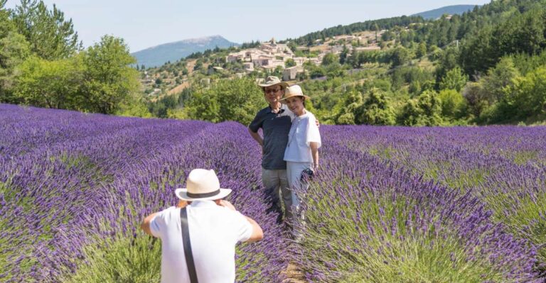 From Avignon: Half Day Lavender Tour Of Luberon Tour Overview