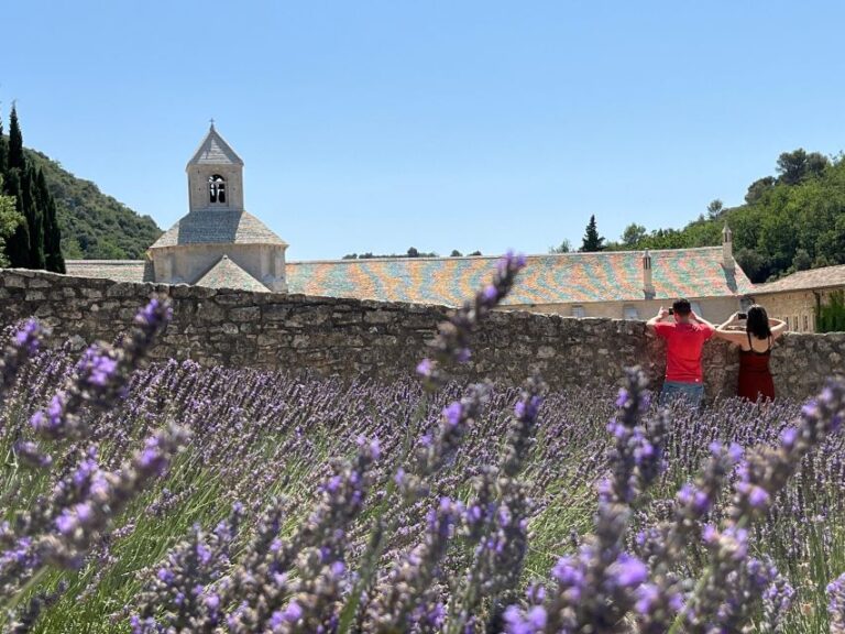 From Avignon: Lavender Tour In Valensole, Sault And Luberon Tour Itinerary And Duration