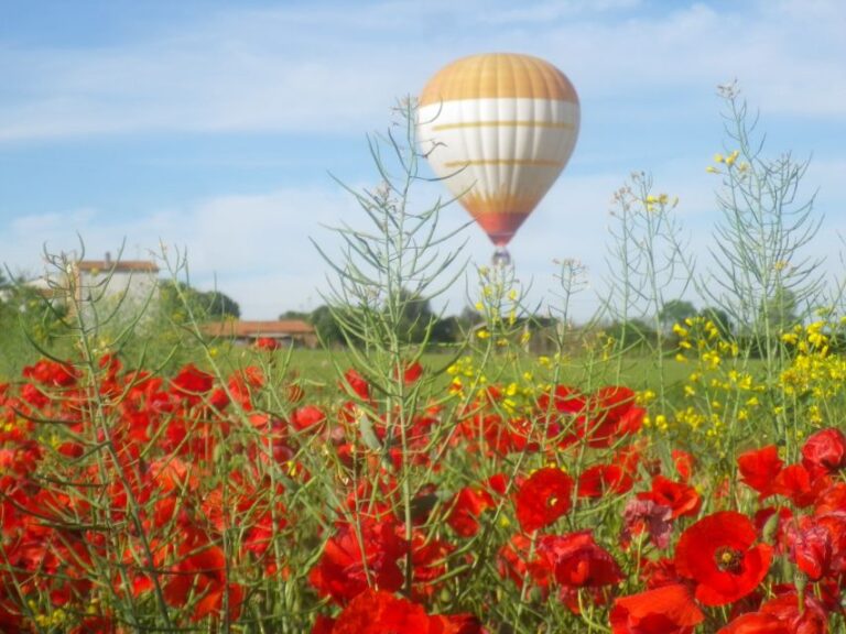 From Barcelona: Half Day Hot Air Balloon Flight Ticket Overview And Highlights