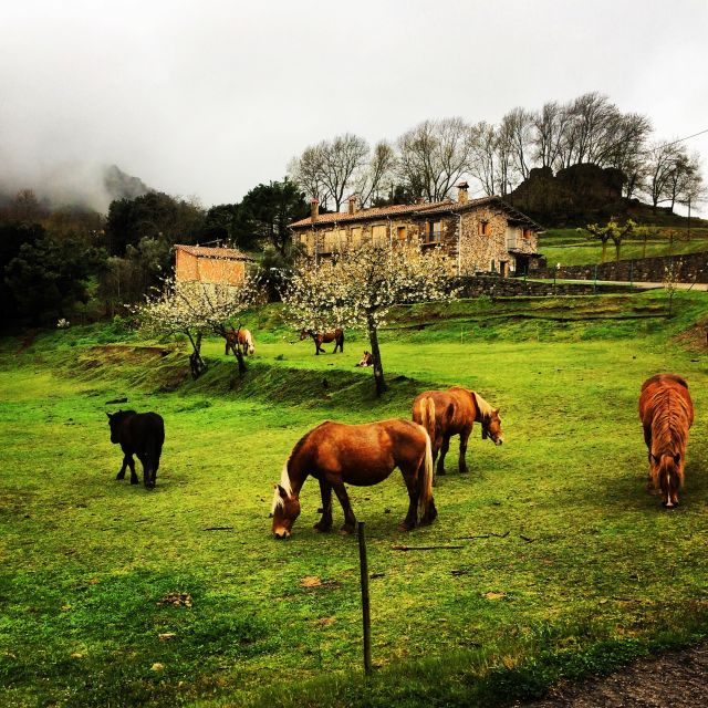 From Barcelona: Medieval Villages And Volcanic Hiking Tour Tour Overview