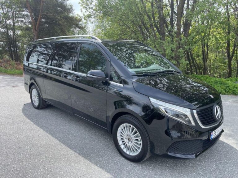 From Bergen: Private Transfer To Gudvangen Reliable And Comfortable Transfer