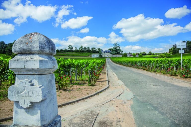 From Bordeaux: Full Day St Emilion Wine Tasting Tour Tour Highlights