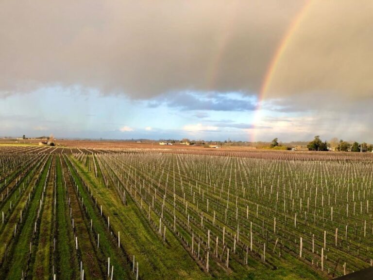 From Bordeaux: Half Day Saint Emilion Wine Tour Tour Overview