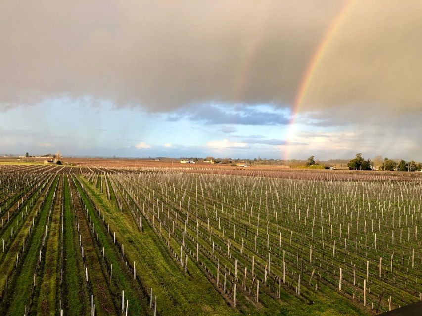 From Bordeaux: Half-Day Saint-Emilion Wine Tour - Tour Overview