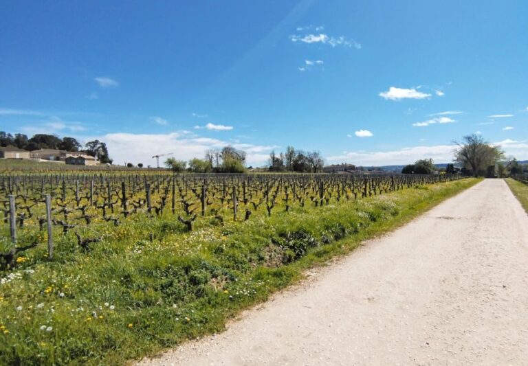 From Bordeaux To Saint Emilion By Gravel Bike Wine Tasting Explore Bordeauxs Iconic Landmarks