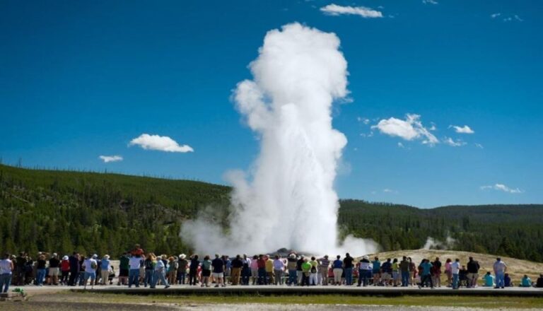 From Bozeman: Yellowstone & Teton Tour (3 Days 2 Nights) Tour Details