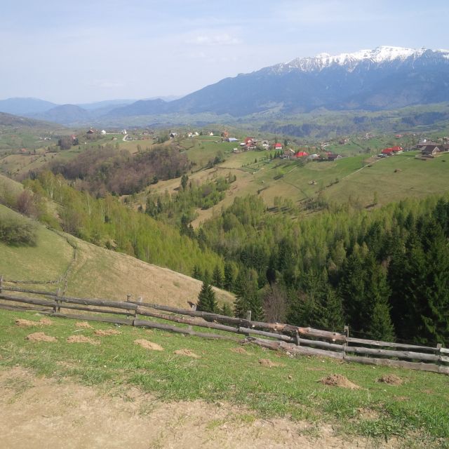 From Brașov: Half Or Full Day Transylvania Jeep Tour Tour Location And Type