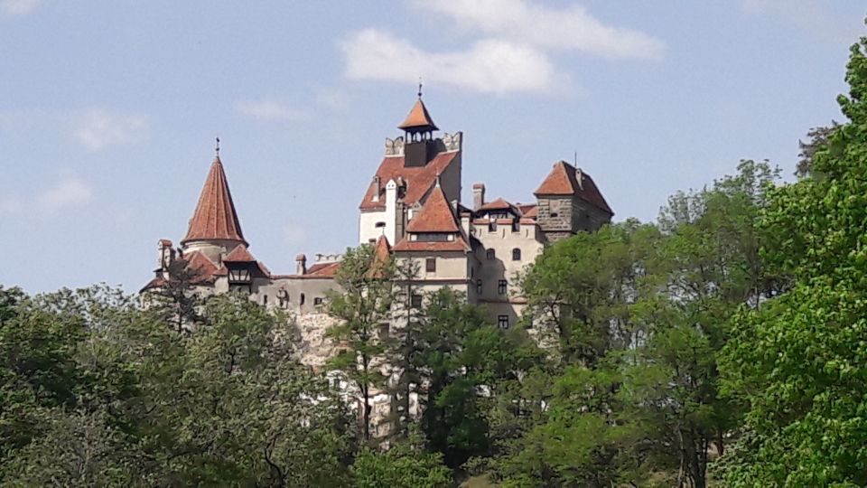 From Brasov: Peles Castle, Bran Castle & Cantacuzino Castle - Tour Overview