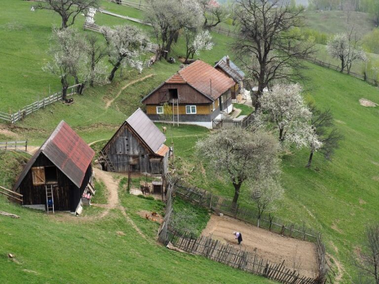 From Brasov: Piatra Craiului National Park 2 Day Guided Trek Overview Of The Trek