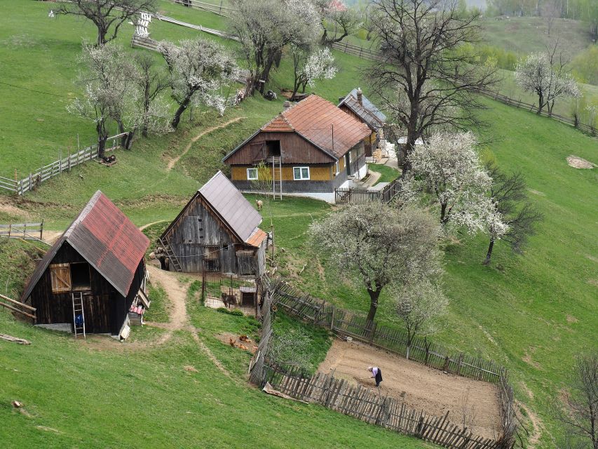 From Brasov: Piatra Craiului National Park 2-Day Guided Trek - Overview of the Trek