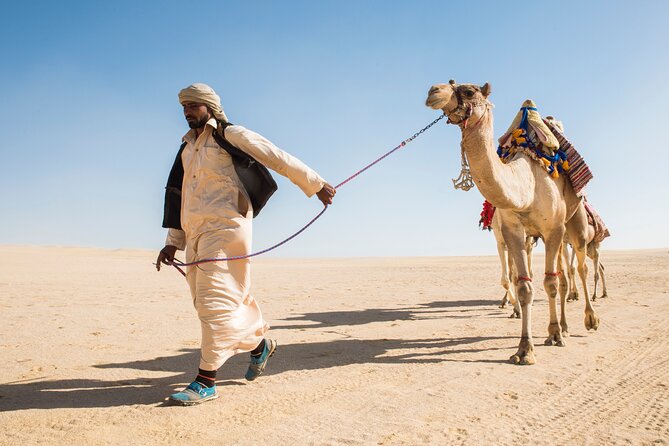 From Cairo: Desert Safari, Waterfalls, Sand Boarding and Camel Ride With Lunch - Overview of the Experience