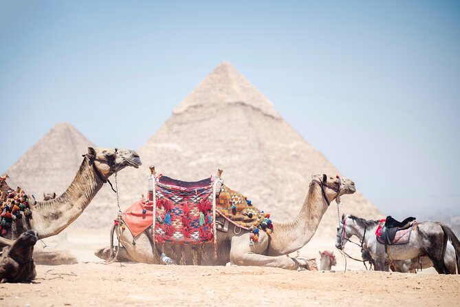 From Cairo Or Giza: Pyramids Of Giza, Sphinx, Saqqara & Memphis Tour With Lunch Tour Overview