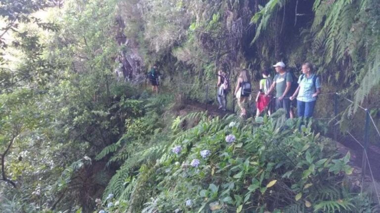 From Caniço/funchal: Levada Caldeirão Verde Hiking Trip Activity Overview