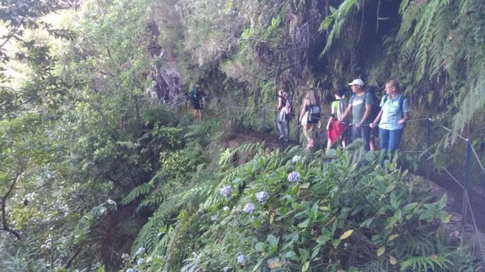 From Caniço/Funchal: Levada Caldeirão Verde Hiking Trip - Activity Overview