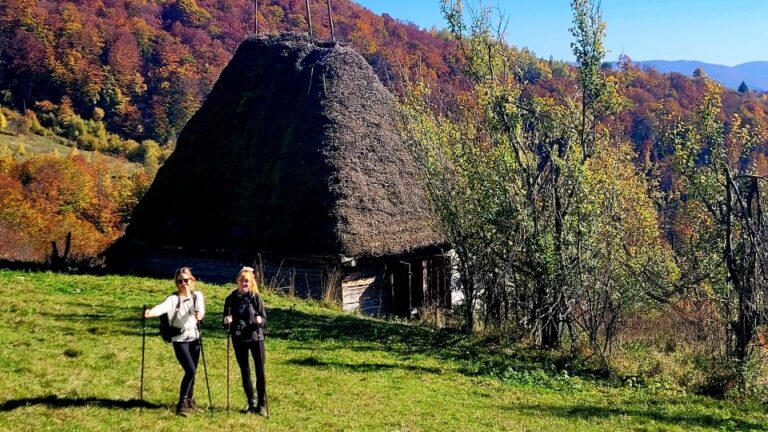 From Cluj Napoca: Apuseni Mountains Hiking Guided Day Tour Tour Overview And Pricing