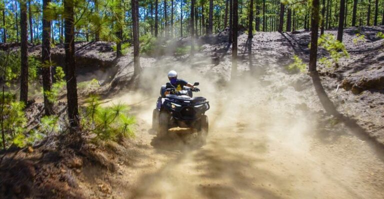 From Costa Adeje: Mount Teide Forest Off Road Quad Bike Tour Tour Overview