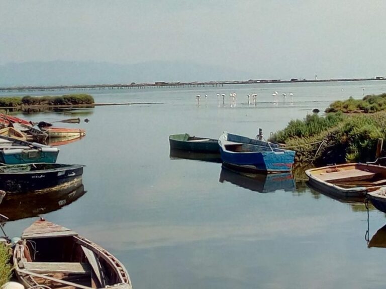 From Deltebre: Ebro Delta National Park Multi Stop Day Trip Tour Overview