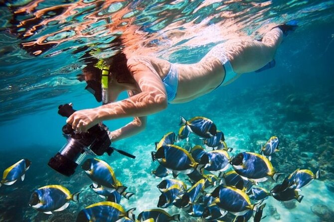 From Dubai: Snorkeling Trip In Fujairah Snorkeling Adventure Awaits