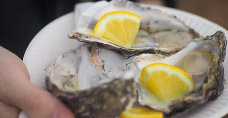 From Dubrovnik: Full Day Tour To Ston & Oyster Tasting Tour Overview