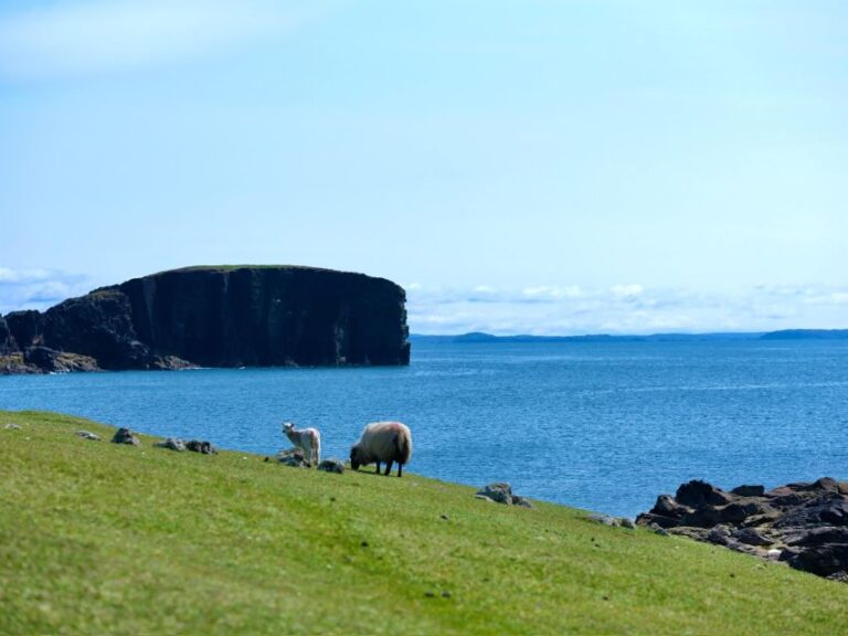 From Edinburgh: 6 Day Shetland & Nothernmost Explorer Exploring The Shetland Islands