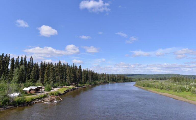 From Fairbanks: Half Day River Fishing Excursion Activity Overview