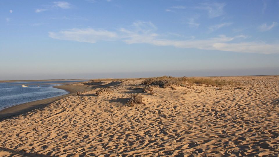 From Faro: Ria Formosa Eco-friendly Solar Boat Tour - Tour Overview and Details