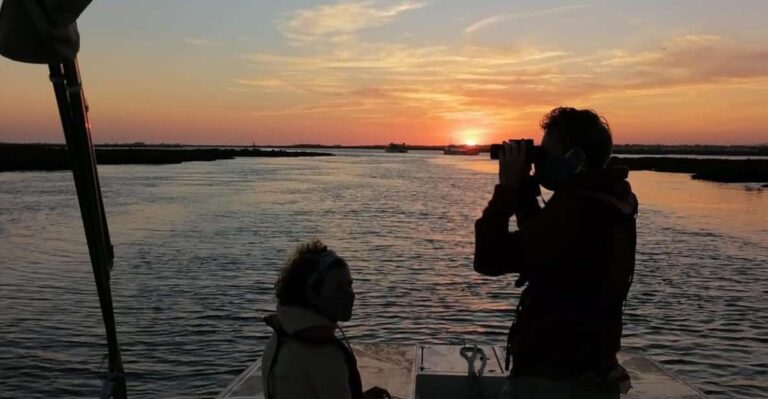 From Faro: Ria Formosa Sunset Boat Trip Activity Overview