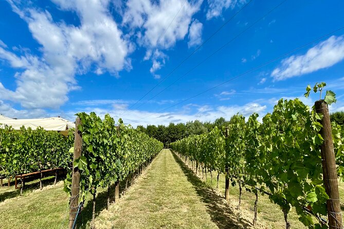 From Florence: Typical Chianti Villages and Wine Roads by Minivan - Included in the Tour