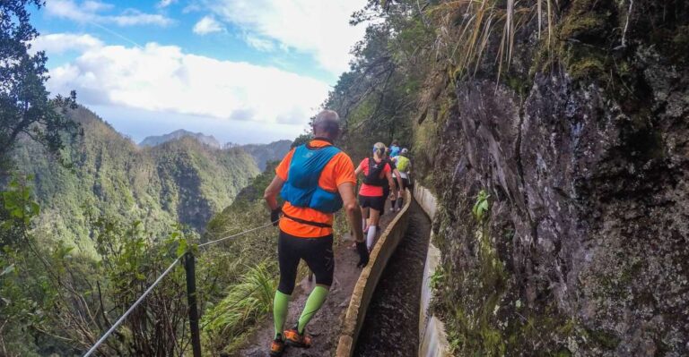 From Funchal: Easy To Moderate Green Levada Running Tour Tour Overview