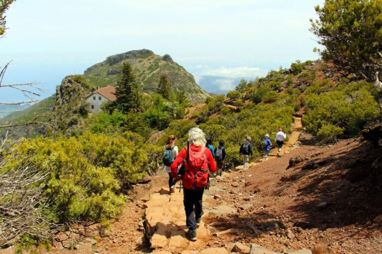 From Funchal: Madeira Peaks Mountain Walk Overview Of The Day Trip